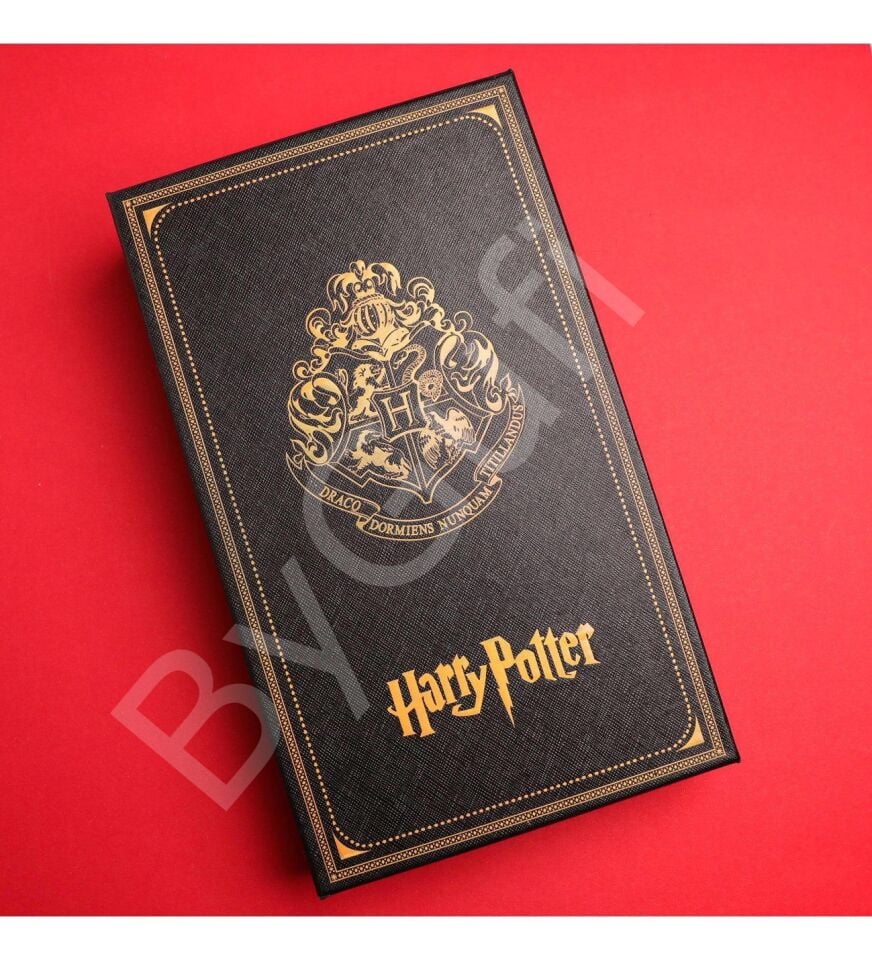 ByGufi Kişiye Özel Harry Potter Divit Hokka Seti