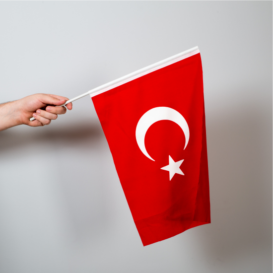 Türk Bayrağı 30x45 cm - Sopalı - Raşel Kumaş - 10 adet