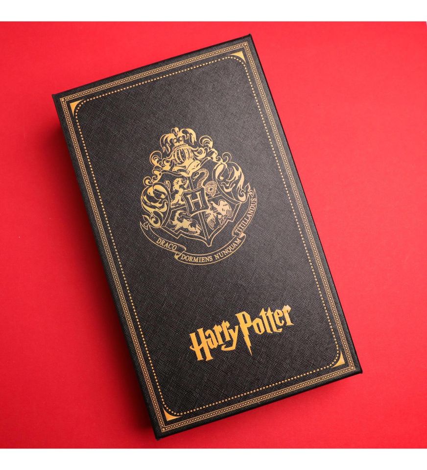Kişiye Özel Harry Potter Divit Kalem Hokka Seti
