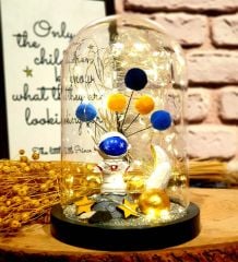 Astronot Işıklı Teraryum