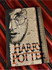 Harry Potter Defter – Özel Tasarım, Kapaklı, Çizgisiz | Hediyelik Defter