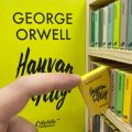 George Orwell Hayvan Çiftliği Temalı Çikolata Kütüphanesi
