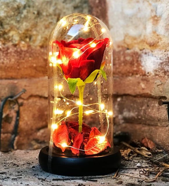 ByGufi Fanus İçinde Hediye Solmayan Gül