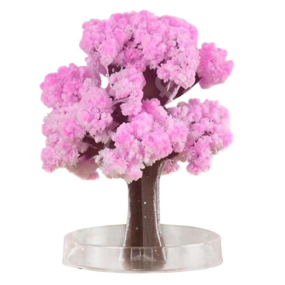 ByGufi Sevgiliye Hediye Sihirli Sakura Ağacı