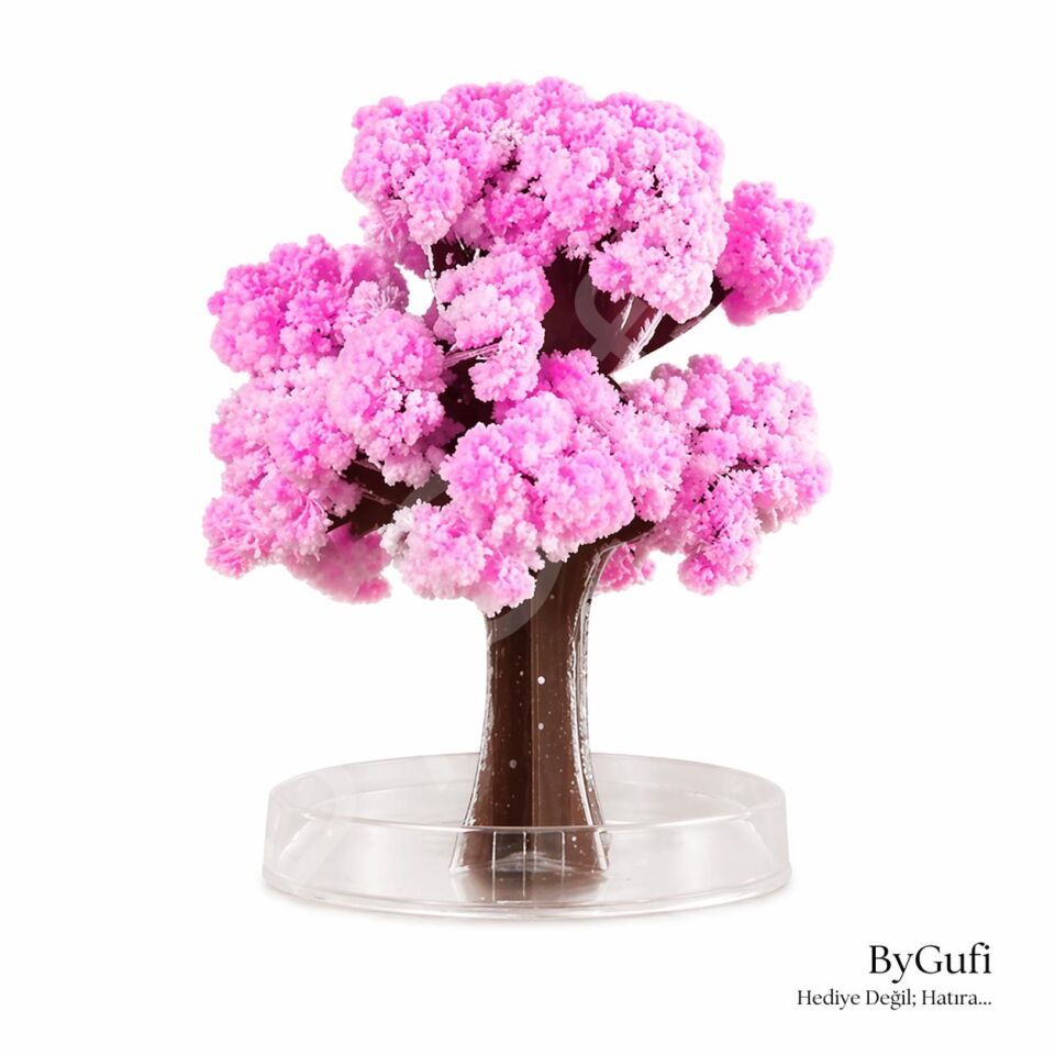 ByGufi Sevgiliye Hediye Sihirli Sakura Ağacı